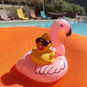 Maison d'hôtes Ile Des Plaisirs, D'hotes Naturistes Avec Petit-dejeuner Tropical Inclus, Graulhet